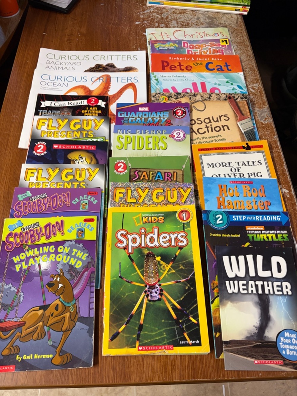 22 Scholastic Kids Assorted Colorful Early Reader Book Lot - Yellow, Green, Blue